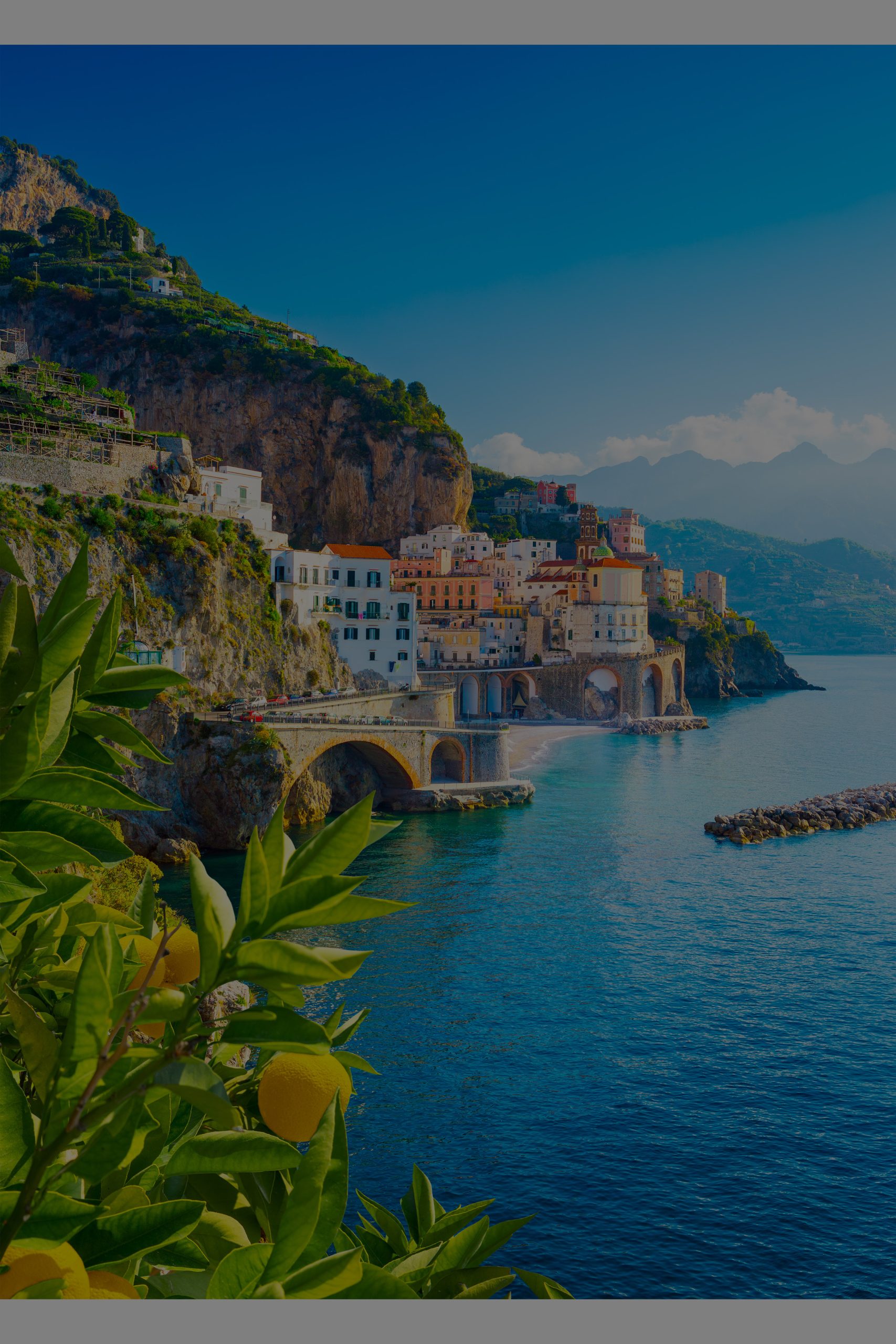 The Med