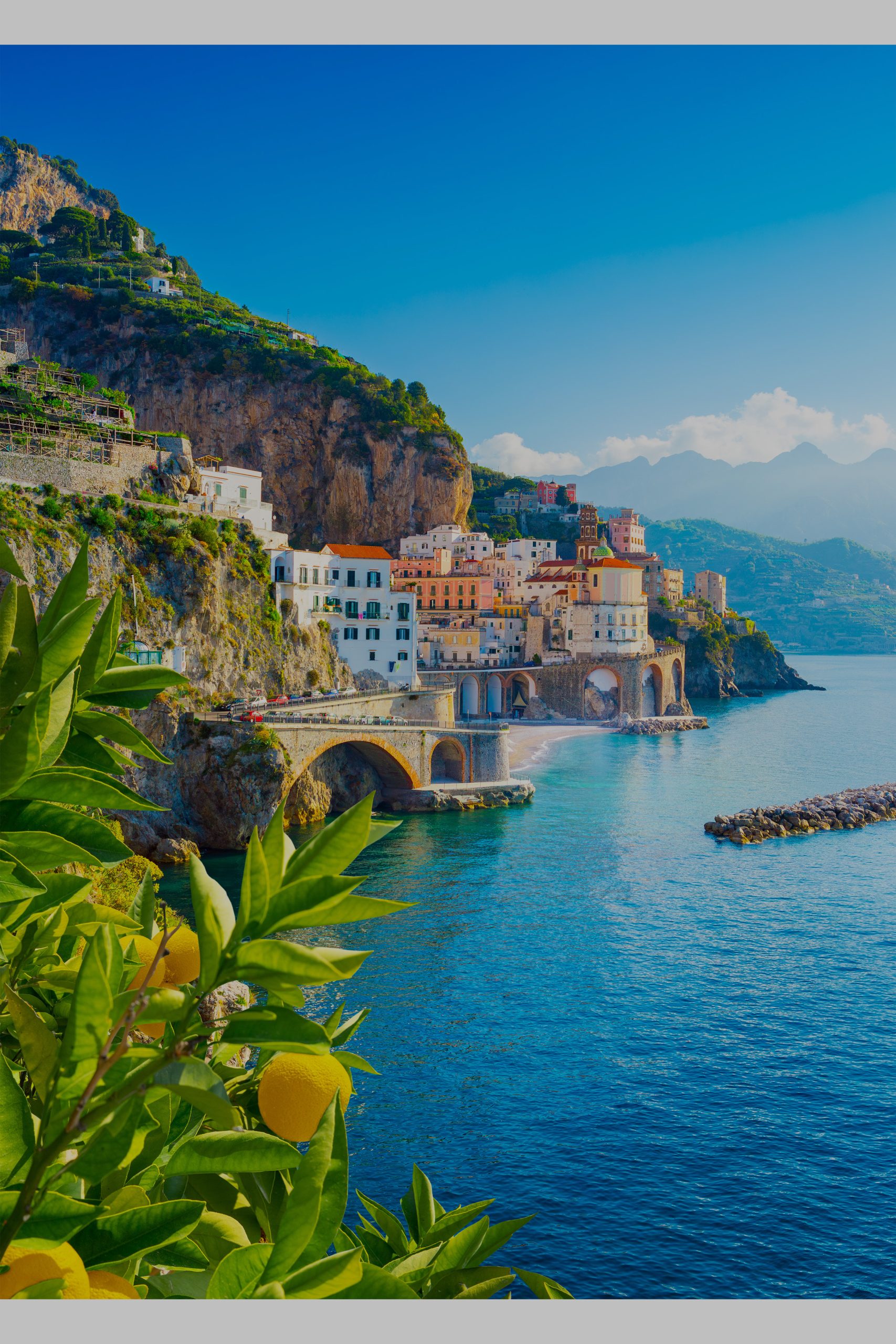 The Med